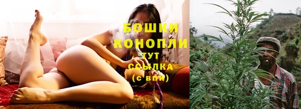 стафф Осташков