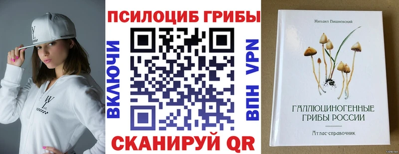 как найти закладки  Пугачёв  Псилоцибиновые грибы мицелий 
