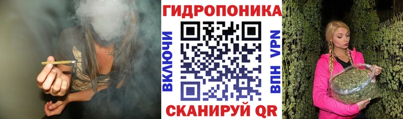 МАРИХУАНА сатива  Пугачёв 